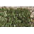Alvild 100cm H x 200cm W Wood Expanding Trellis