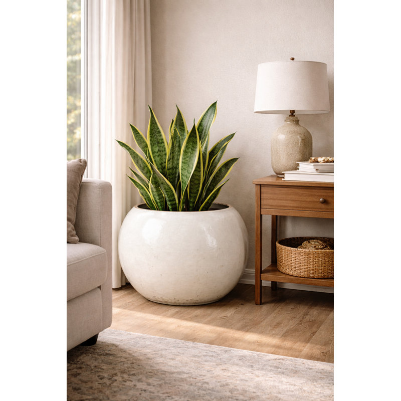 Jardinière 24 po Miami - blanc antique, Blanc