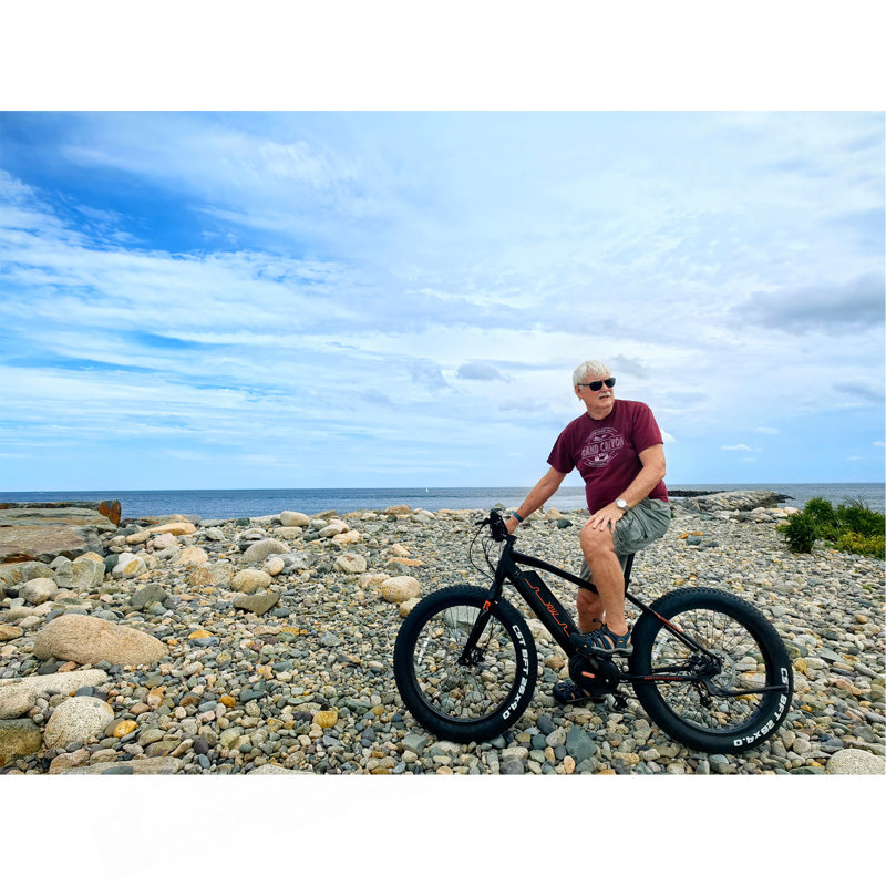 Rogue wave -- mountain ebike