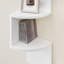Mackles 5 Piece Corner Shelf-742937025