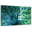 Elegant Peacock-107699453
