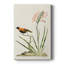 Bird in Habitat III - Gallery Cavas-1569868253