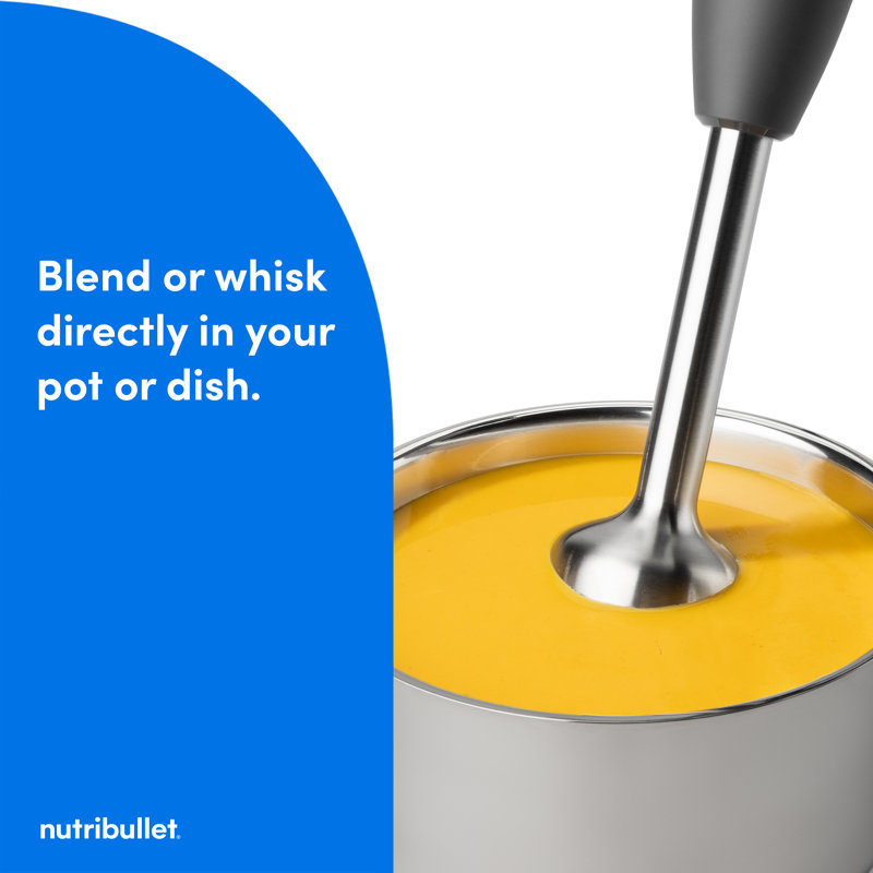 Mélangeur à immersion Nutribullet Lite gris foncé