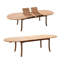Zain Outdoor 11 - Piece Teak Dining Set-1341264897-1341264896