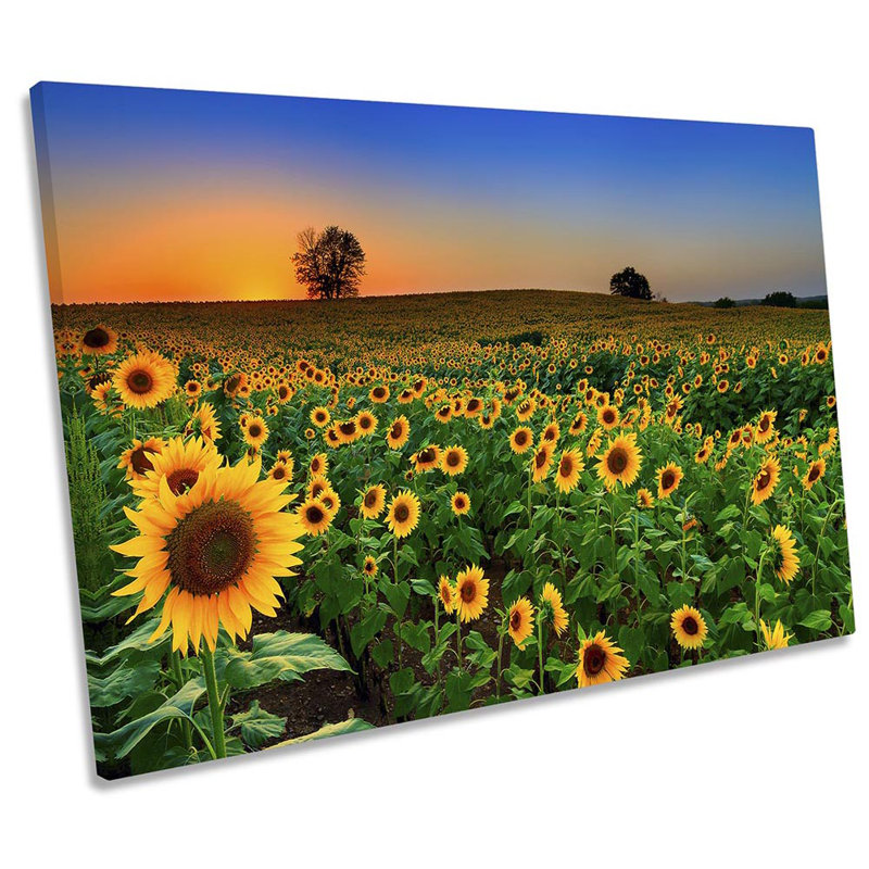 Sunflowers Sunset Landscape - Wrapped Canvas Print, 81.3cm H x 121.9cm W  x 4cm D