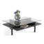 Terrace Coffee Table-1485365889-1485365891