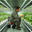Adjustable Height Rolling Garden Seat