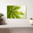 Marijuana Leaf Sunrise-111983875