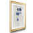Gold Framed
