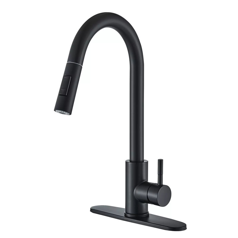 AlenArtWater Pull Down Kitchen Faucet