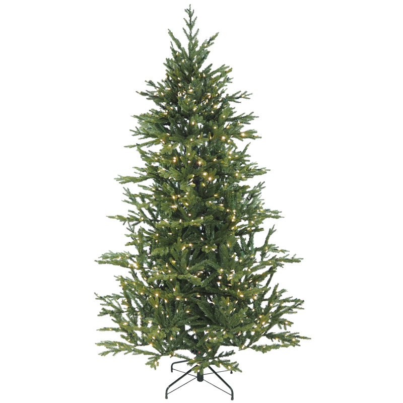 DEL Hillwood Pine, H 7 pi 6 po