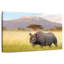 Rhinocéros Hosking Amboseli-659043177