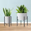 Plant Stand
