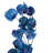 Preserved Cara Blossom Arrangement-94734871