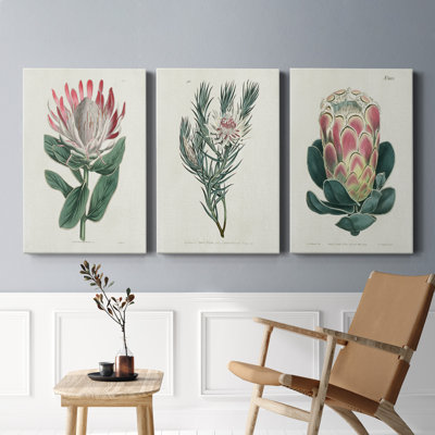 Protea N14 - Premium - Ensemble de 3 reproductions d'art sur toile tendue