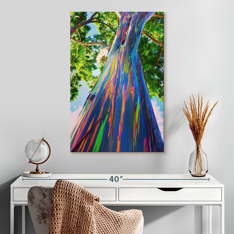 Eucalyptus hawaïen Harnek, H 30 po x l 20 po