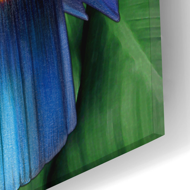 Art mural en verre épique «Toucan» par Tim Jeffs, 16 po x 24 po, H 24 po x l 16 po