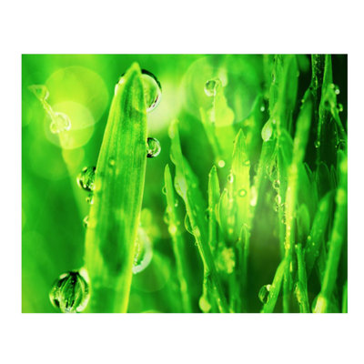 Macro Grass I Print by Chelsea Art Studio