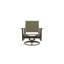 Wexler Outdoor Swivel Lounge Chair-1099678795-1102391097