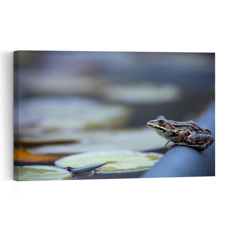Grenouille d'étang vigilante, affiche murale contemporaine avec lys et grenouille, 40" H x 60" W