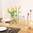 Set Of 2 Modern Decorative Acrylic Clear Book Shaped Vase