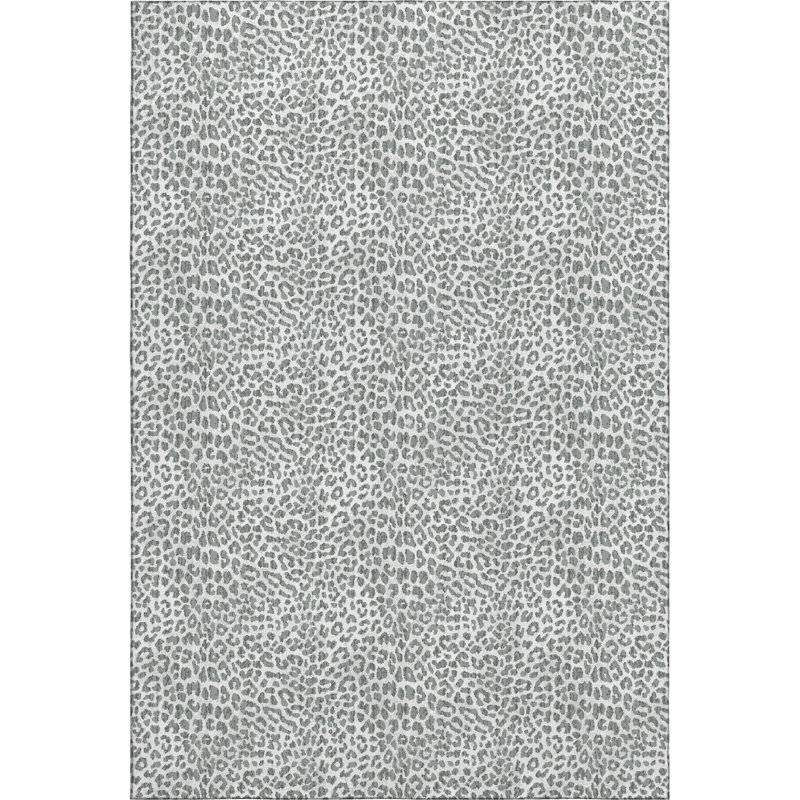 Premium Machine Washable Kishonna AMF43 Gray Rug, Rectangle 2'6" x 3'10"