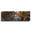 "Tigers Sleep" par Murray Henderson Fine Art-1173734888