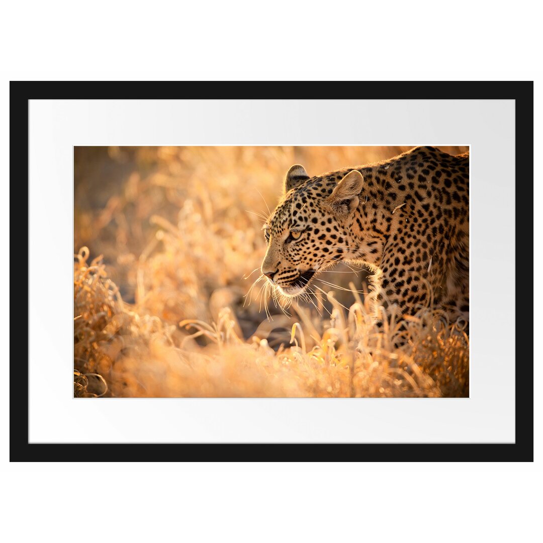 Gerahmtes Poster Jagender Leopard