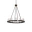 12 - Light Chandelier