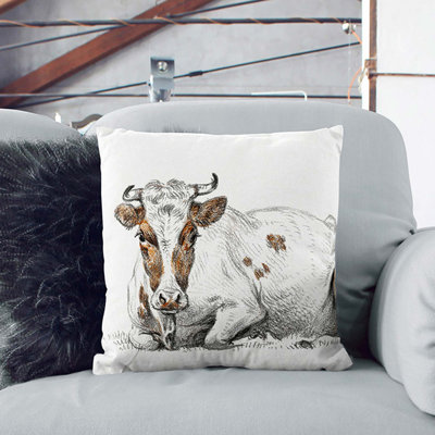 Square Throw Cushion