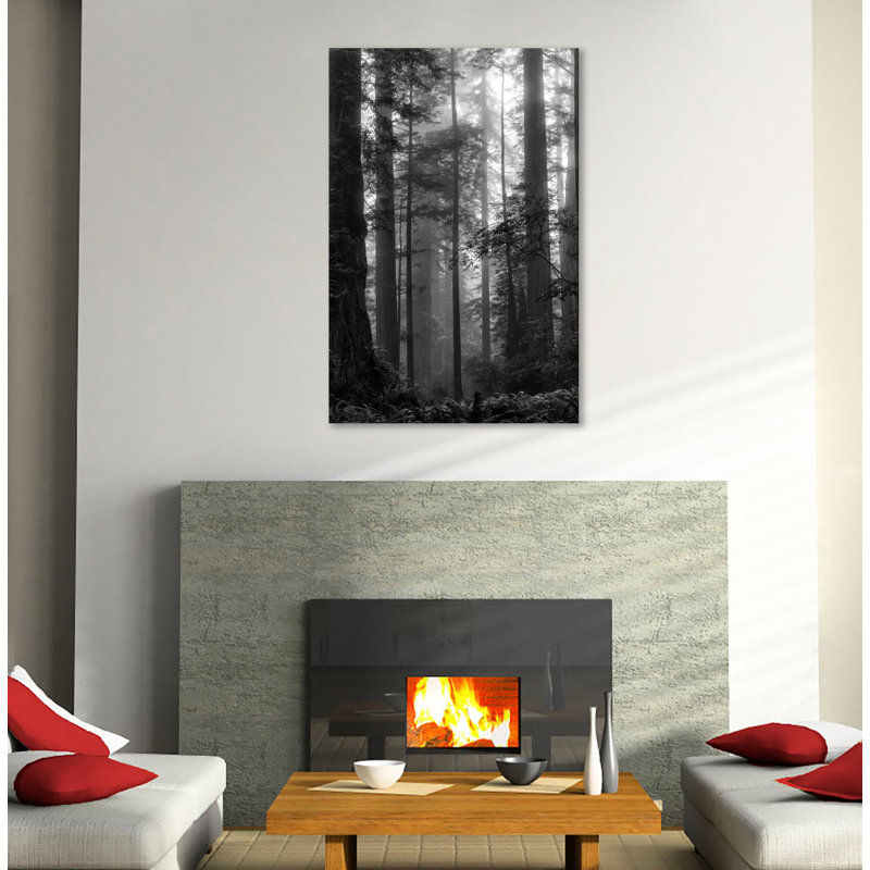 «North Coast Redwoods BW», toile tendue par Dianne Poinski, H 30 po x l 20 po x P 1,5 po