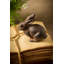 Lapin de lapin en fonte Tignall