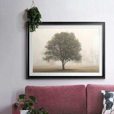 " Trees In The Fog I "