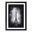 Black Framed
