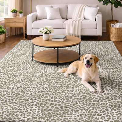 Premium Machine Washable Dream Shag ADS43 Leopard Rug