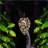 Solar Powered Integrated Led Outdoor Lantern
