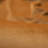 Mondragon Velvet Room Darkening Curtains-1985004661-1985004658