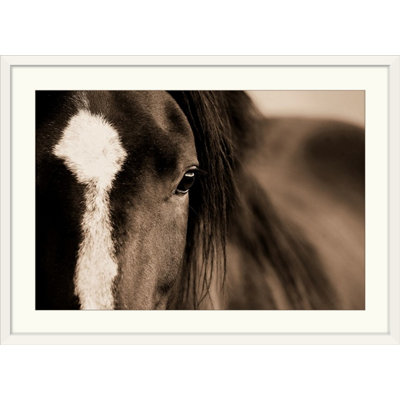 Kemani " Dark Eyes " by Lisa Dearing