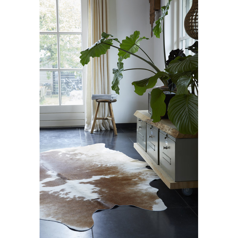 Dehoyos Animal Print Hand Woven 180cm X 200cm Indoor / Outdoor Area Rug
