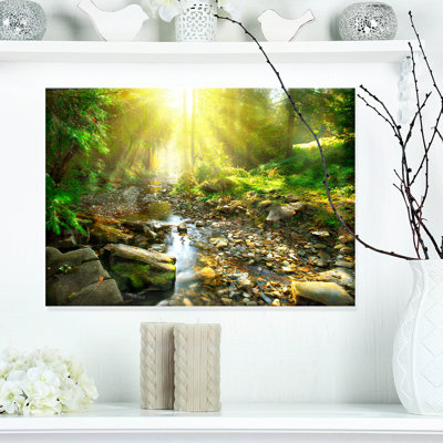 Mountain Stream in Forest - Landscape Photography Canvas Print