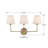 3 - Light Dimmable Vanity Light