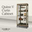 Quinn V Lighted Curio Cabinet