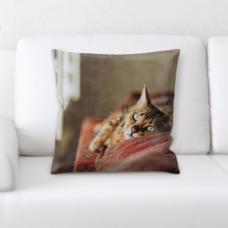 Coussin pour chat