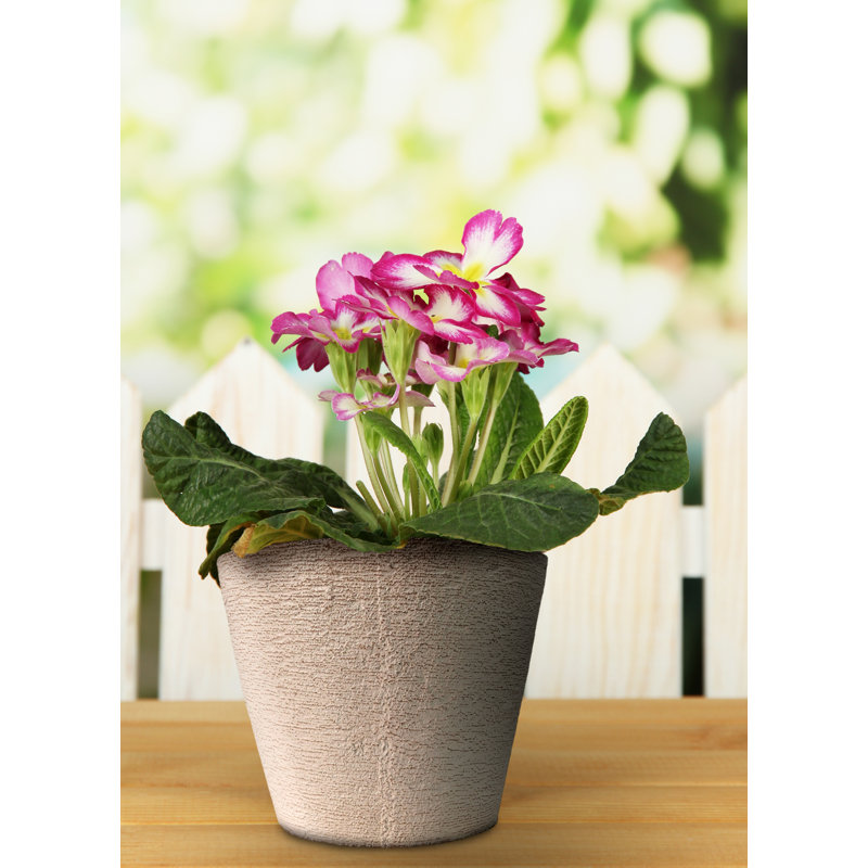 ROUND PLANTER GRAY 14"X 12"-PACK OF 2 UNITS