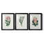 Protea N13 - Ensemble de 3 impressions encadrées-2127202178-2127202173