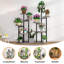 Plant Stand-1873477803