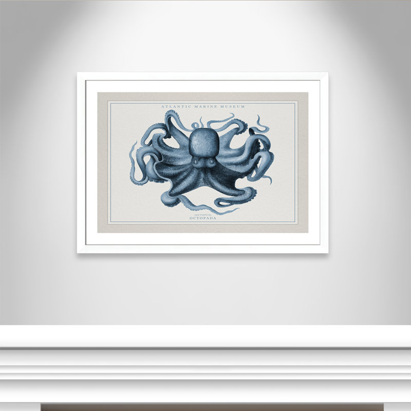 «Atlantic Marine Museum Octopus II», cadre photo, Papier encadré blanc mat, H 31 po x l 43 po x P 1,25 po