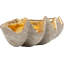 Deco Bowl Noble Shell