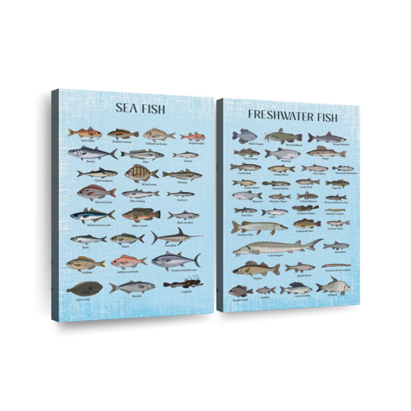 " Fish Types Chart Multi Piece Canvas Print " 2 - Pieces, 36" H x 49" W x 1.25" D