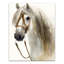 Cheval dans une toile flottante encadrée d'automne-1239723630-1239723619